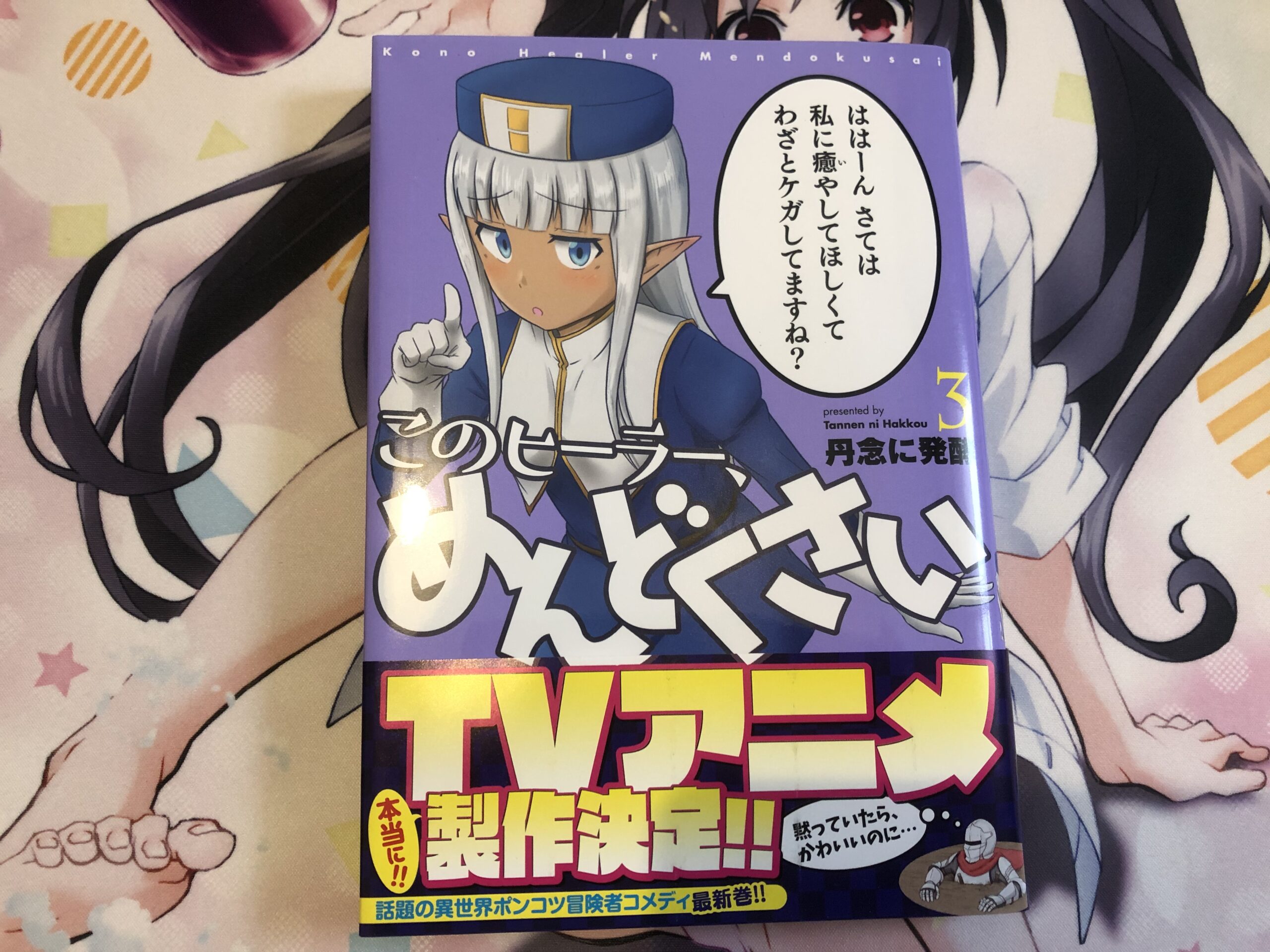 このヒーラー めんどくさい 3巻 感想 アニメ情報のアニフォメーション